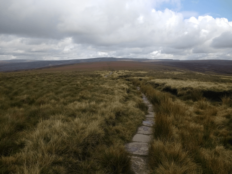 Flagstones lead the way over sodden, grassy terrain.